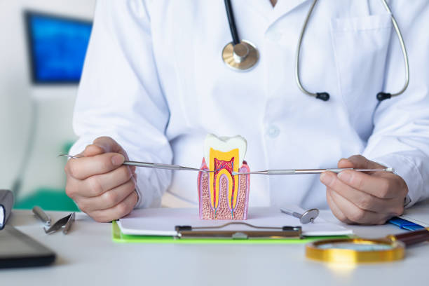 Best Emergency Treatment for Toothache in Falls Creek, PA